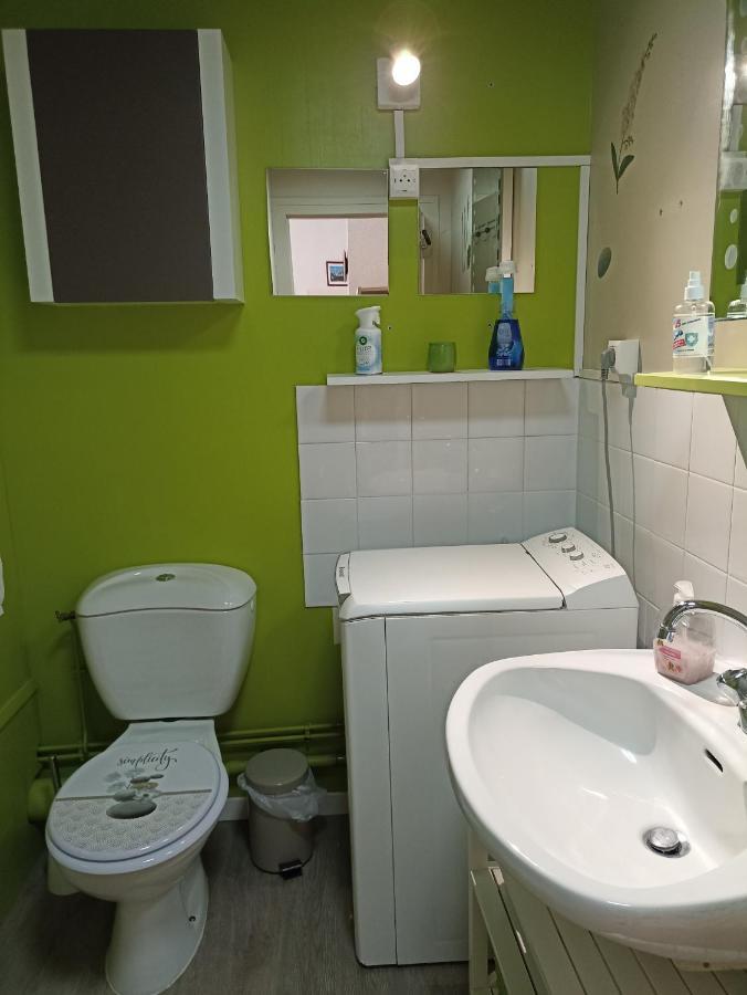 Ferienwohnung La Voliere Des Pics Le Mont-Dore Exterior foto